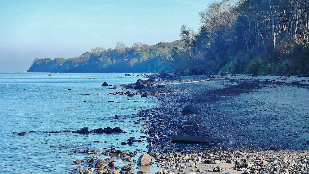 A rocky shoreline with clear blue water and a forested hill in the background.