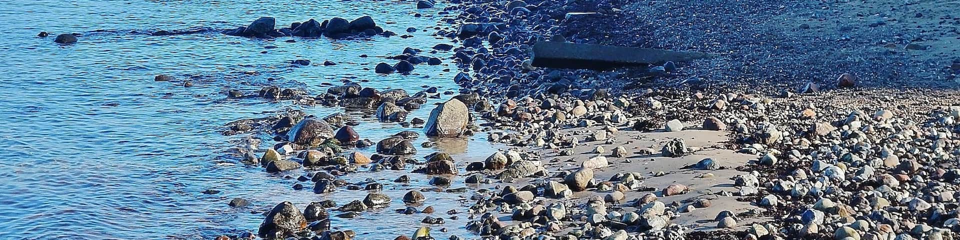 A rocky shoreline with clear blue water and a forested hill in the background.
