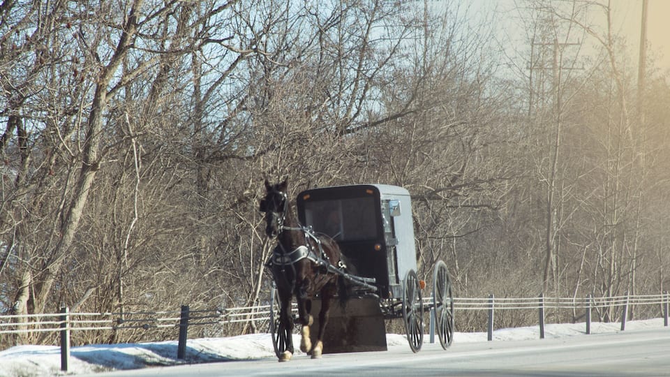 A horse-drawn carriage on a snow-covered road with bare trees in the background.