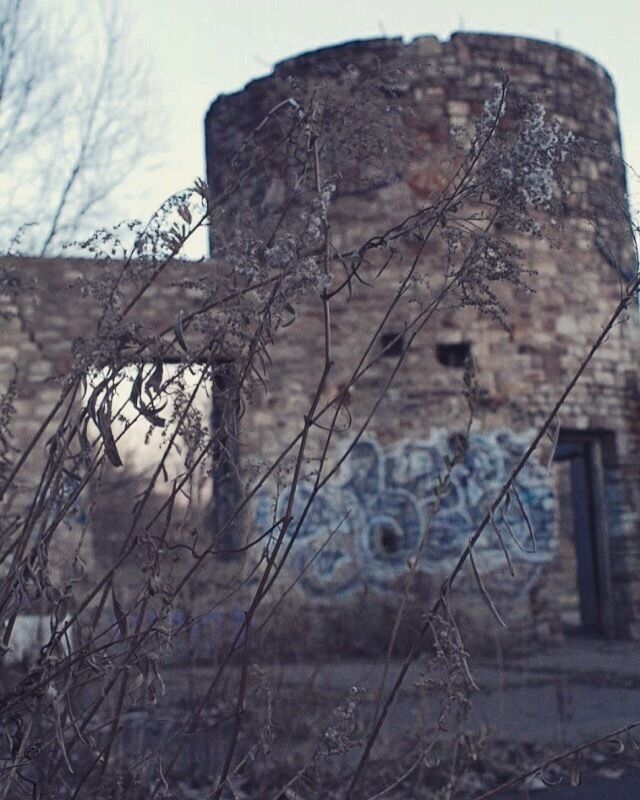 A picture from inside this abandoned castle like structure that was full of weeds and graffiti. #castle #abandoned #buffalo #streetart #ellicottcreek #park #stone #exploring 