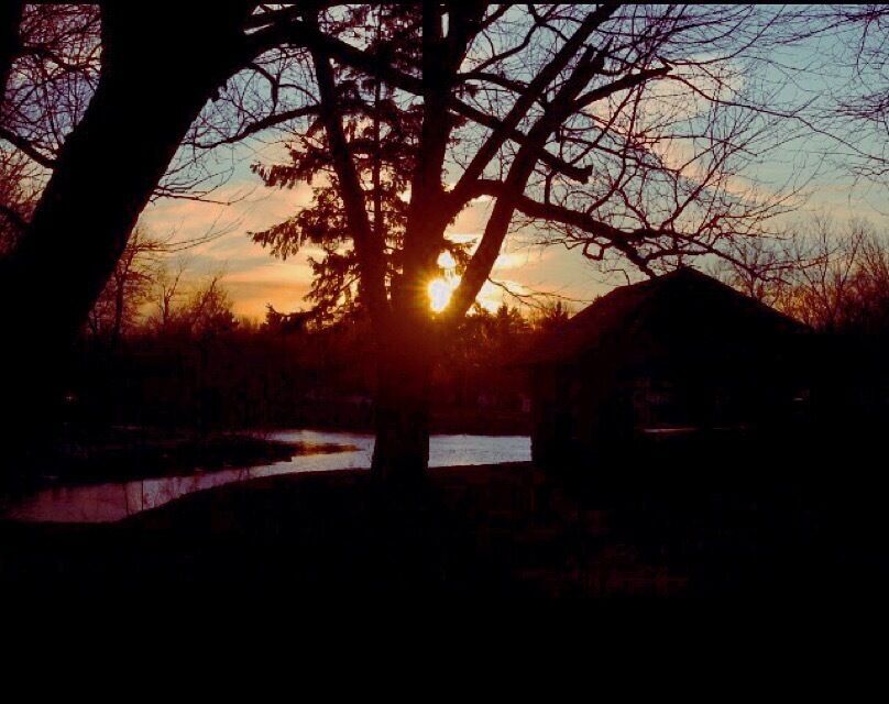 Shelter 31 backlit At sunset #sunset #park #tonowonda #buffalo #ellicottcreek #shelter #landscape 
