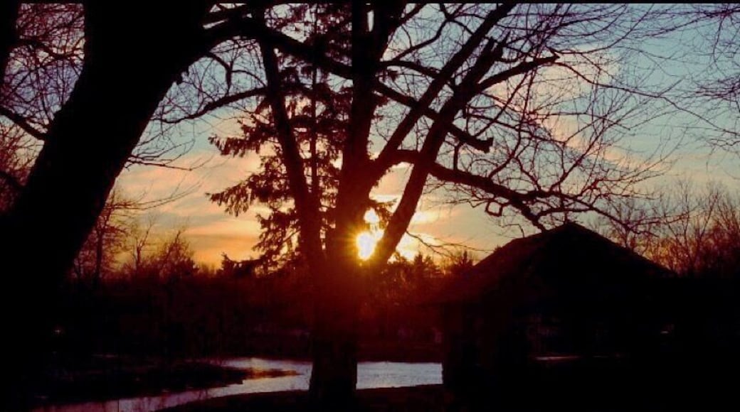 Shelter 31 backlit At sunset #sunset #park #tonowonda #buffalo #ellicottcreek #shelter #landscape