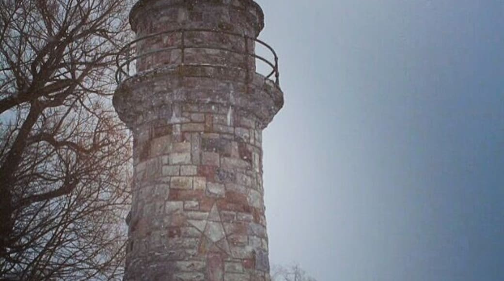 The lighthouse in the village of Lancaster on lake avenue. #lighthouse #winter #lancaster #buffalo #lake #comopark
