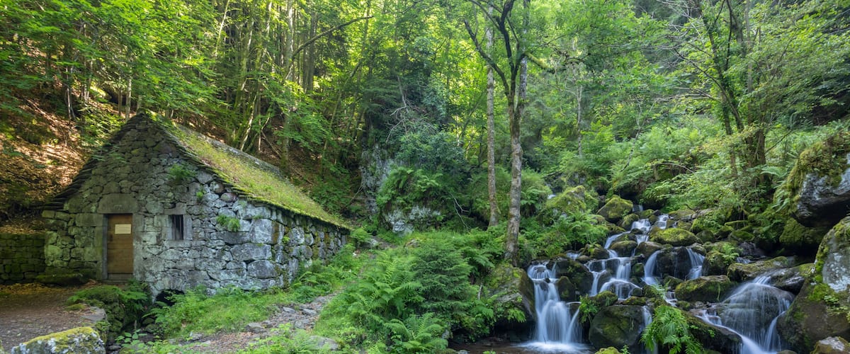 A stone house with a moss-covered roof, a cascading waterfall, and lush green ferns.