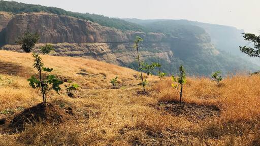Where hills change their colours