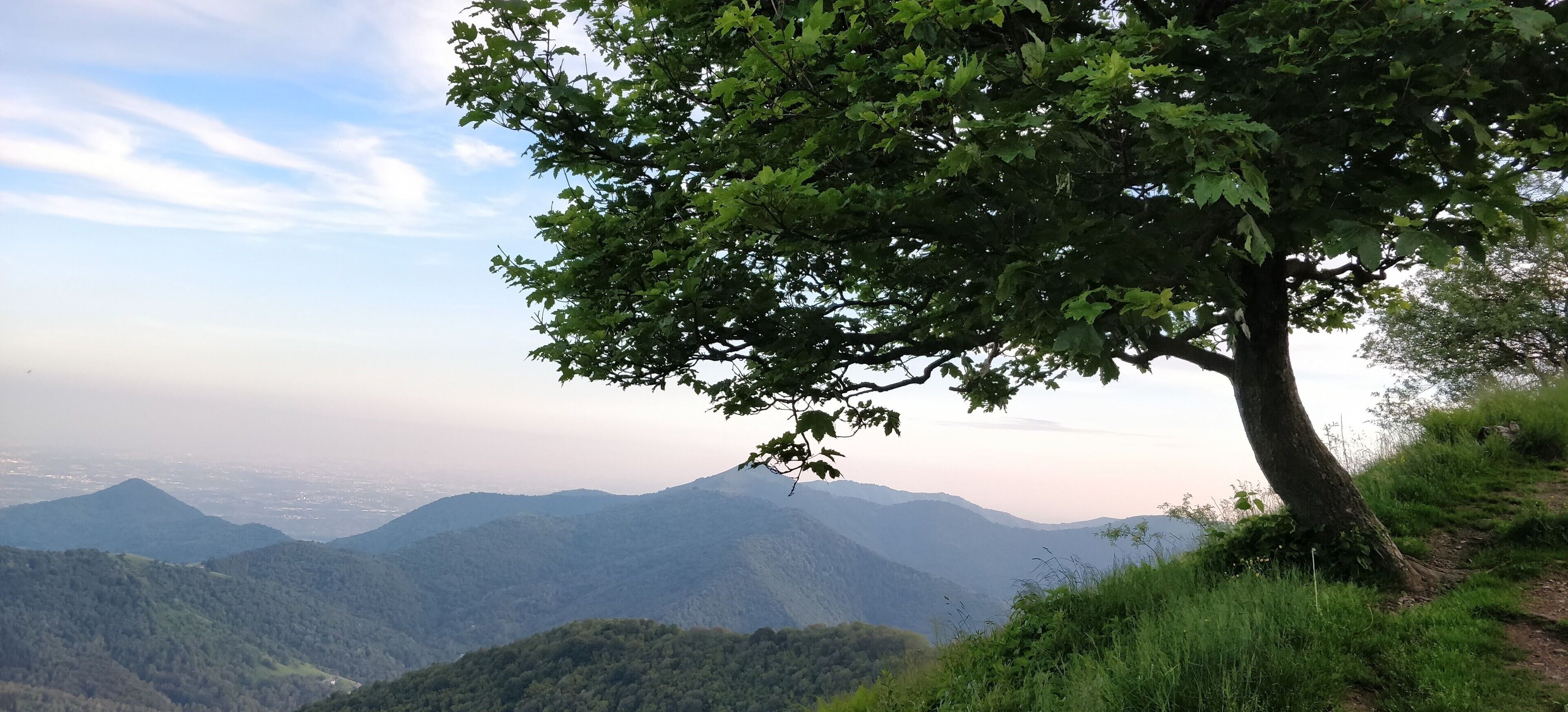 Monumento naturale regionale di Pietra Luna (Q3862732)