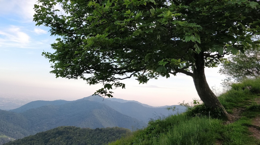 Monumento naturale regionale di Pietra Luna (Q3862732)