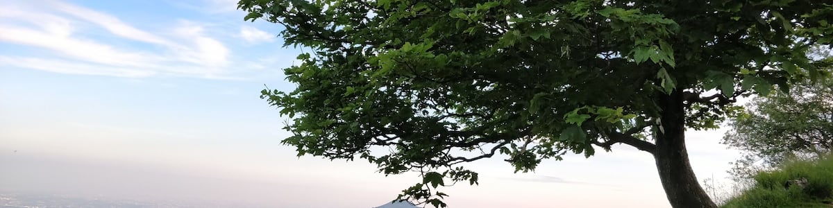 Monumento naturale regionale di Pietra Luna (Q3862732)