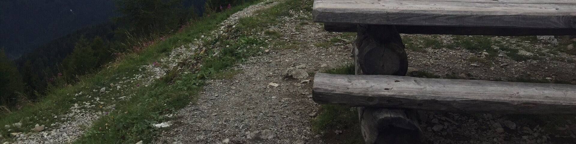 There are many strategic and ruined forts along the lower alps in northern Italy, and this walk takes you to Forte Zaccarana, which is nearly completely ruined from one or both world wars.
The walk includes crossing trenches and hillsides pocked with bomb craters. It is also stunningly beautiful.
www.visa-vis.com
#thisisitaly #vermiglio #tonale #alps #forte #hiking #mountains