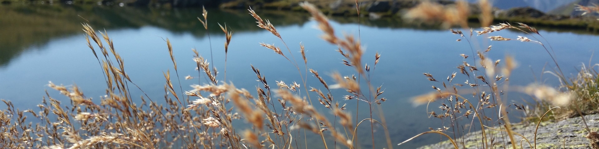 Vermiglio - Folgarida (Q49967600)
