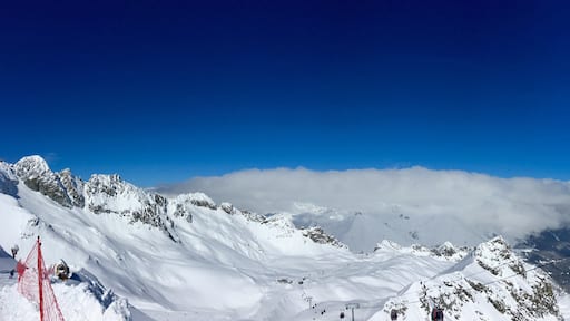 Parco Naturale Adamello (Q47780554)