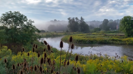 Toronto Canada Holland Landing Nokiidaa trail photos