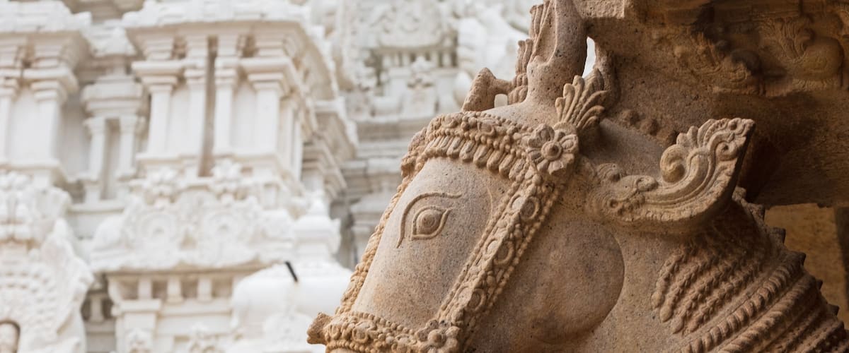 Carvings from monolithic pillars at the entrance to one of the halls at the Sri Ranganatha Swamy temple complex at Trichy in Tamil Nadu