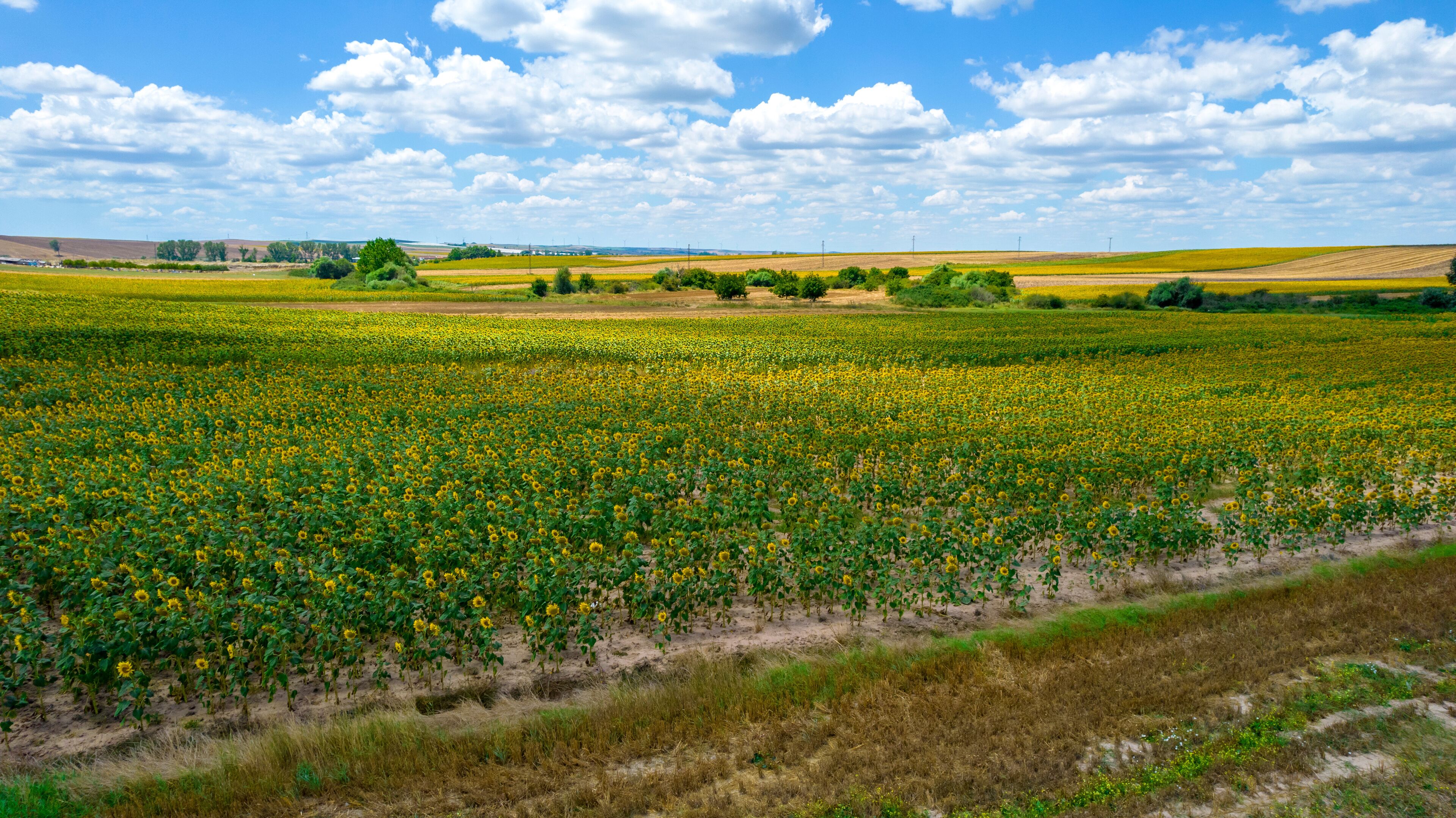 <h2>Los alojamientos para familias mejor calificados en Corlu</h2> 