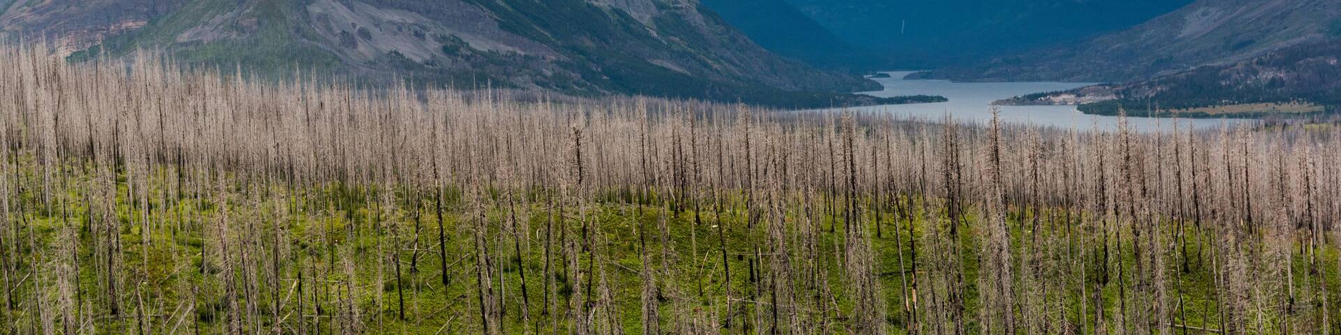 Glacier National Park, Montana, USA