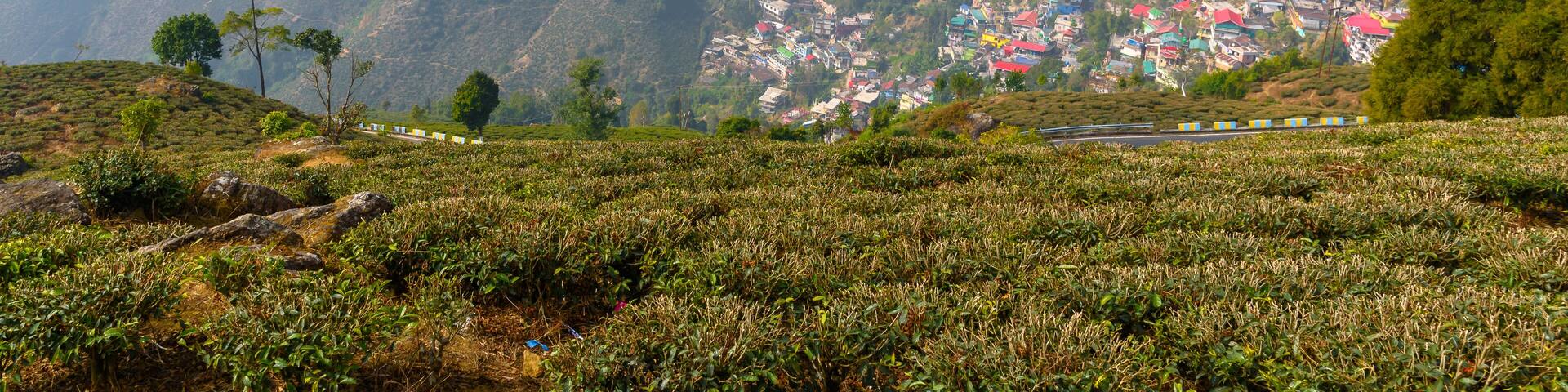 View of Hill Station Buildings in India.