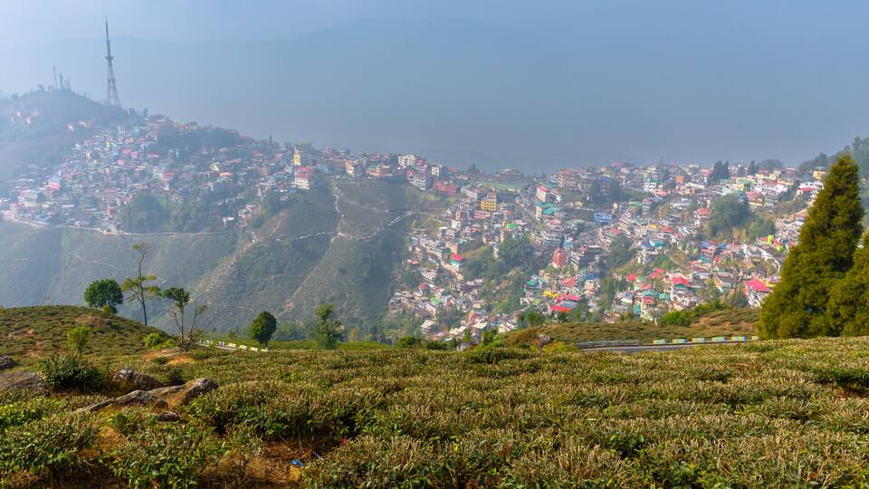 A mountainous village with colorful houses and a tea plantation.