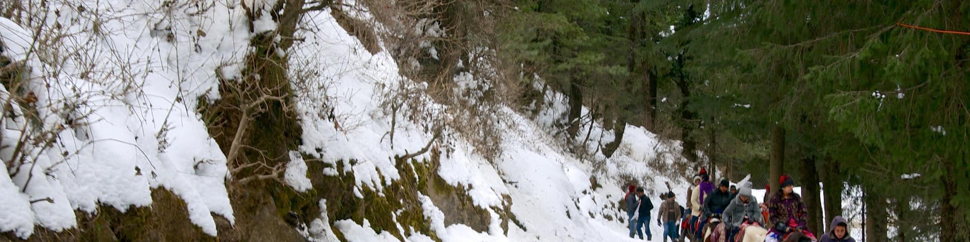 Kufri showing horseriding and snow as well as a large group of people
