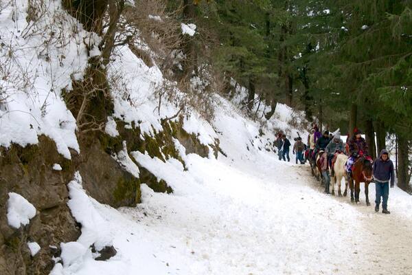 Kufri showing horseriding and snow as well as a large group of people