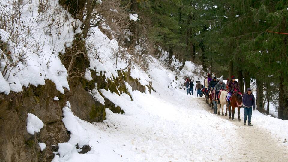 A snowy hiking trail with people riding horses.