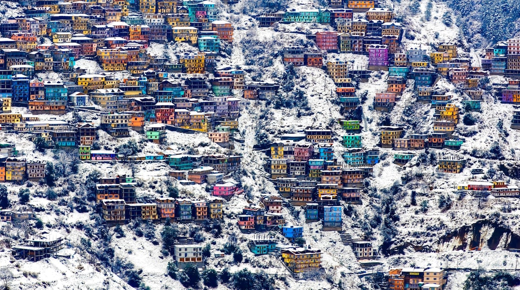 Snow city near kufri shimla