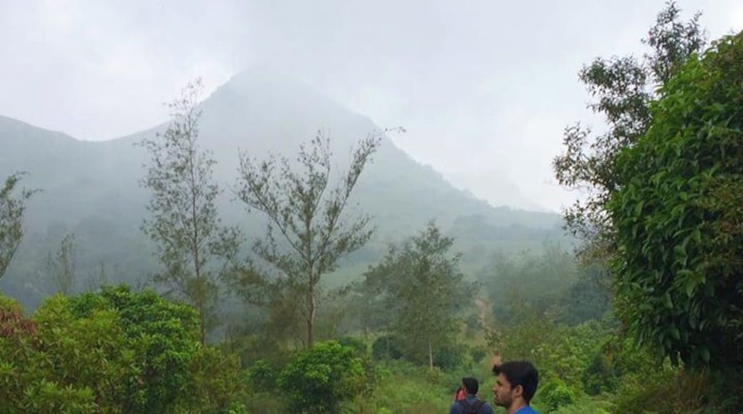 Tadiandamol trek on a long weekend