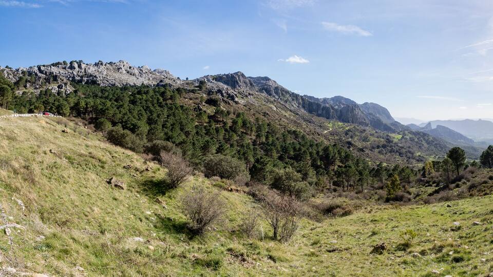 A mountainous landscape with a winding road, dense forests, and rocky terrain.