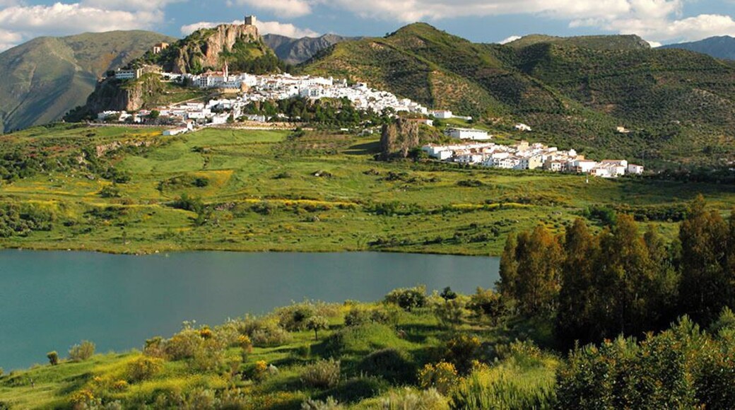 #Green in El Bosque, Andalusia Spain