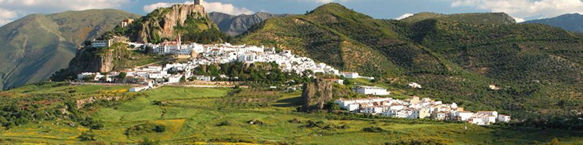 #Green in El Bosque, Andalusia Spain
