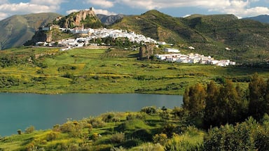 #Green in El Bosque, Andalusia Spain
