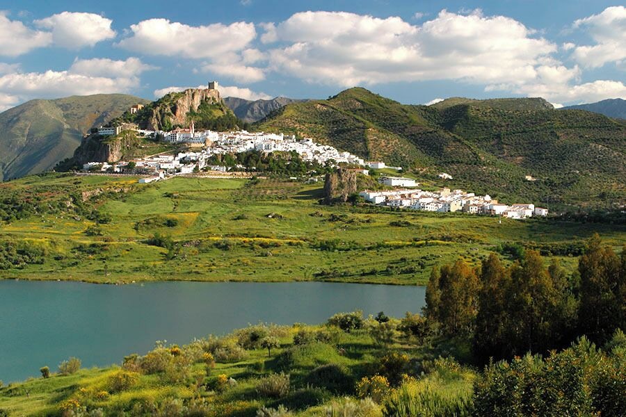 #Green in El Bosque, Andalusia Spain