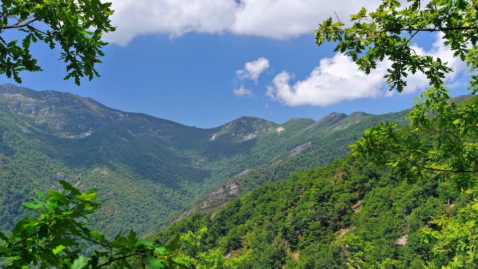 A mountainous landscape with dense green forests and clear blue skies.