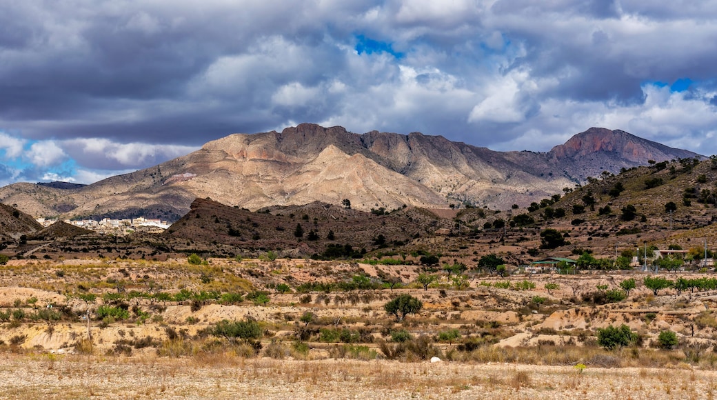 Landscape view of El Tolle near Murcia in Spain