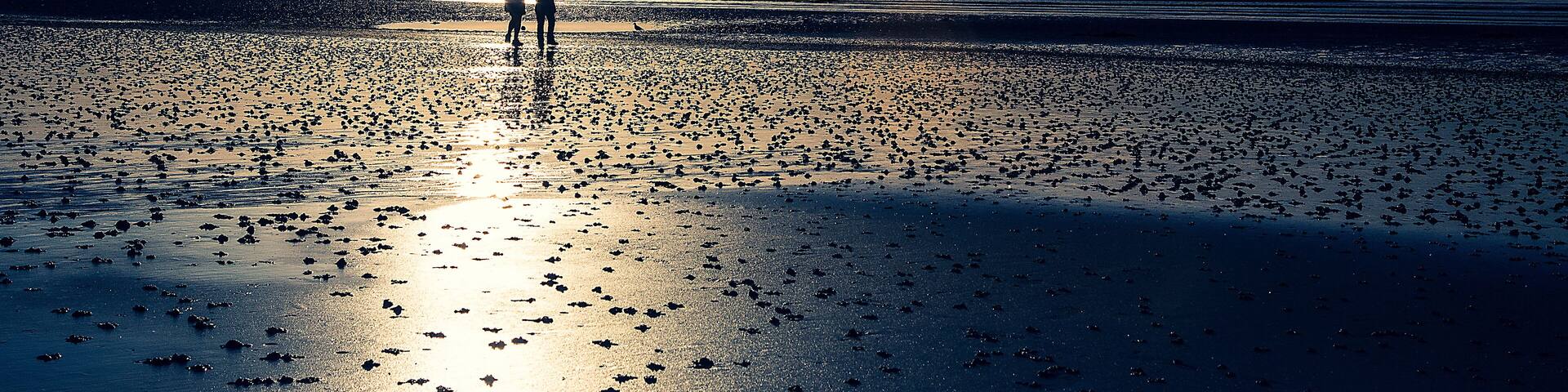 Sunset In Normandy (series) 1