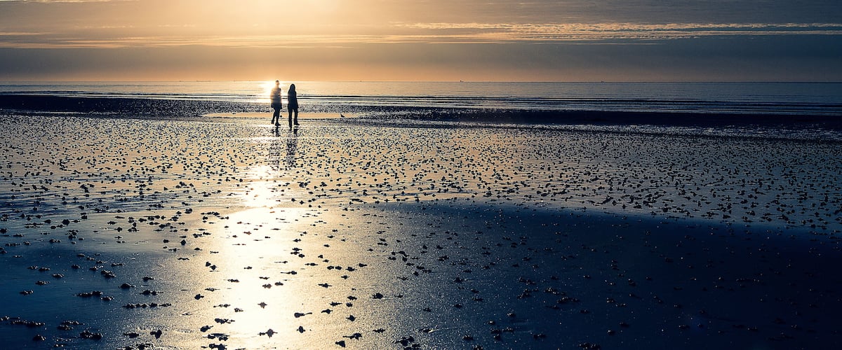 A beach at sunset with two people silhouetted against the sun, and a flock of birds scattered across the wet sand.