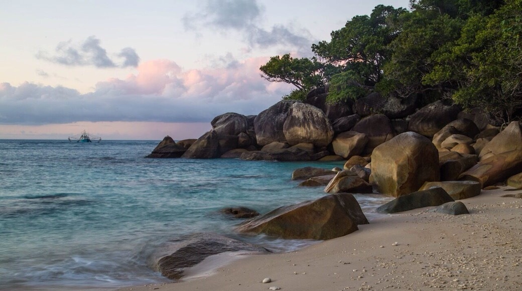 Muddy Beach on Fitzroy Island. Such a gorgeous spot just a short walk from the resort.