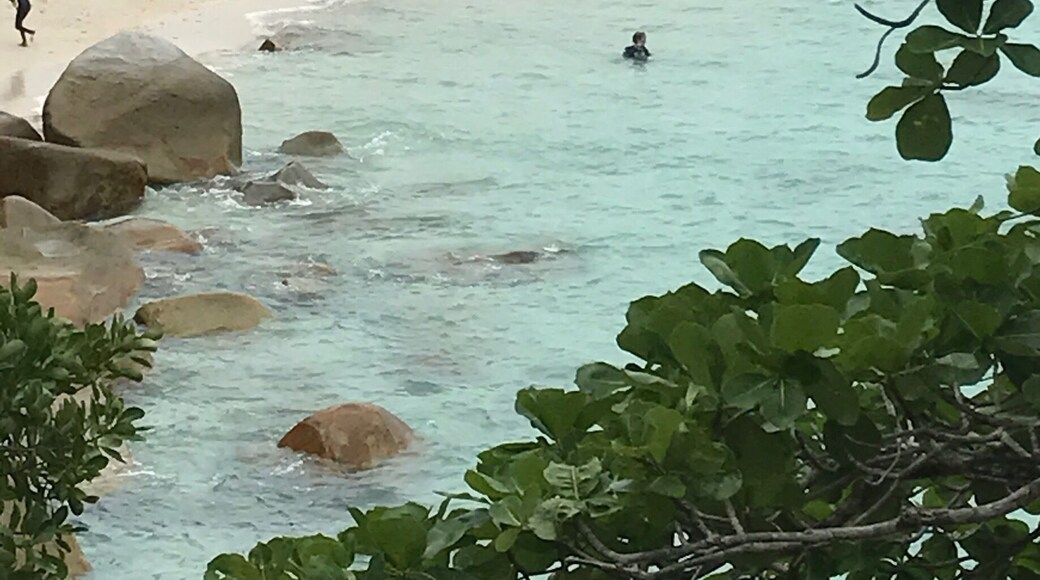 Stunning view 👍🏻✈️🇦🇺😊🐬🌴🌅