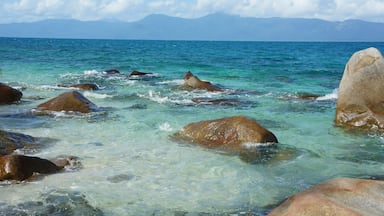 A 20 minute hike from the resort on Fitzroy Island, this beach is a must visit. Nudey only by name, nudity is illegal in Queensland.
#LifeAtExpedia