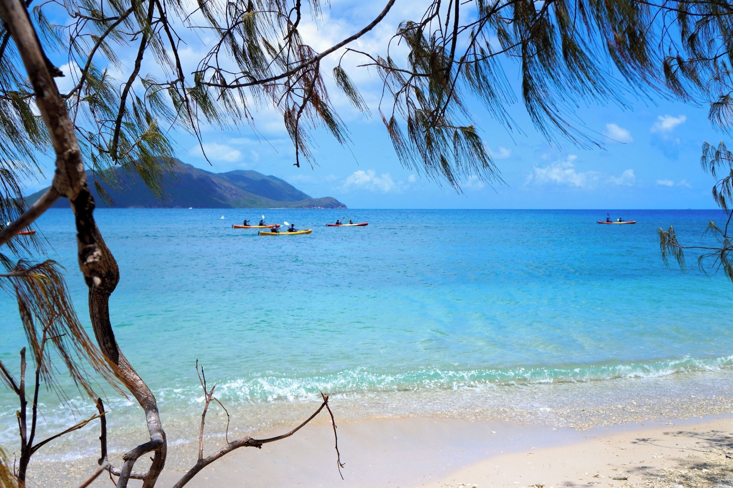 A sea kayak tour is a great way to see Fitzroy Island. They leave every morning and you can book through Raging Thunder. let them know if you're a local - they offer discounts! #waterlust
www.cheskiesgaplife.com