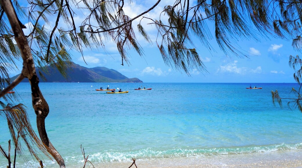 A sea kayak tour is a great way to see Fitzroy Island. They leave every morning and you can book through Raging Thunder. let them know if you're a local - they offer discounts! #waterlust
www.cheskiesgaplife.com