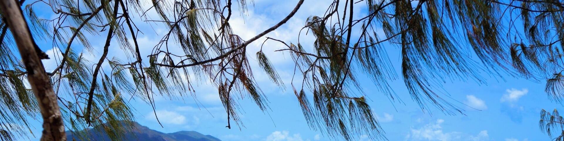 A sea kayak tour is a great way to see Fitzroy Island. They leave every morning and you can book through Raging Thunder. let them know if you're a local - they offer discounts! #waterlust
www.cheskiesgaplife.com