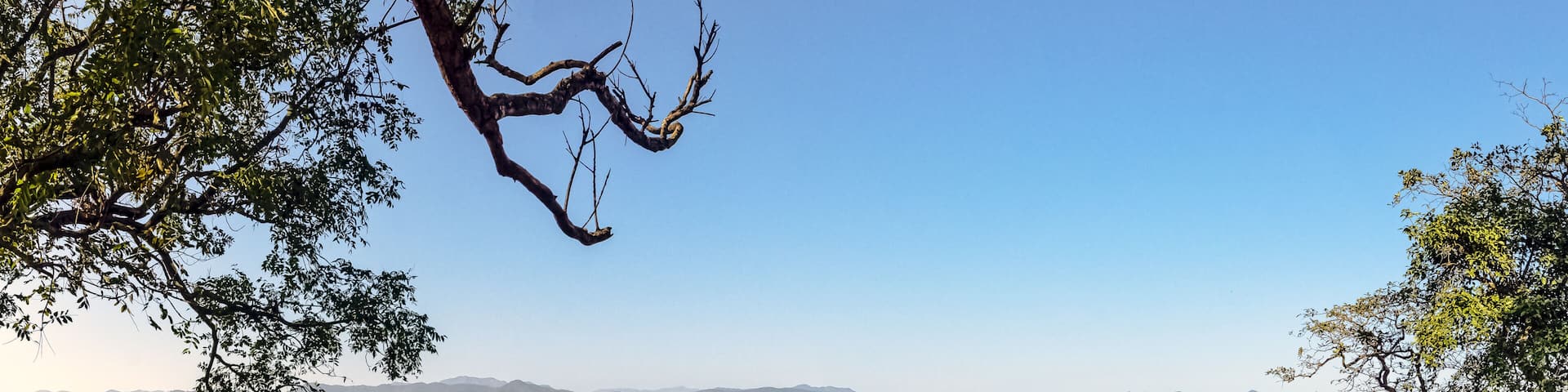 Panorama of Ramganga River in Jim Corbett National Park, India