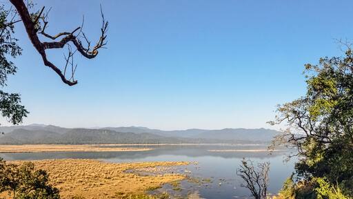 Panorama of Ramganga River in Jim Corbett National Park, India
