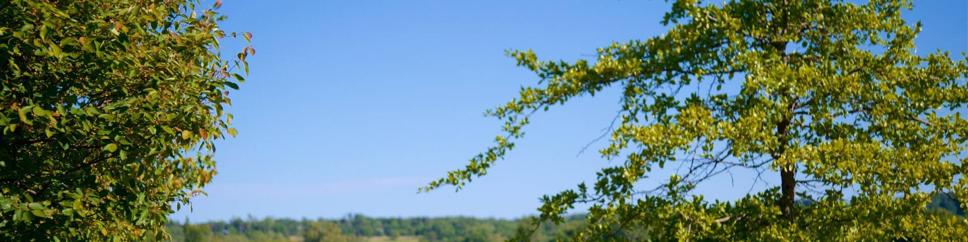 Campo de batalla Monocacy National Battlefied