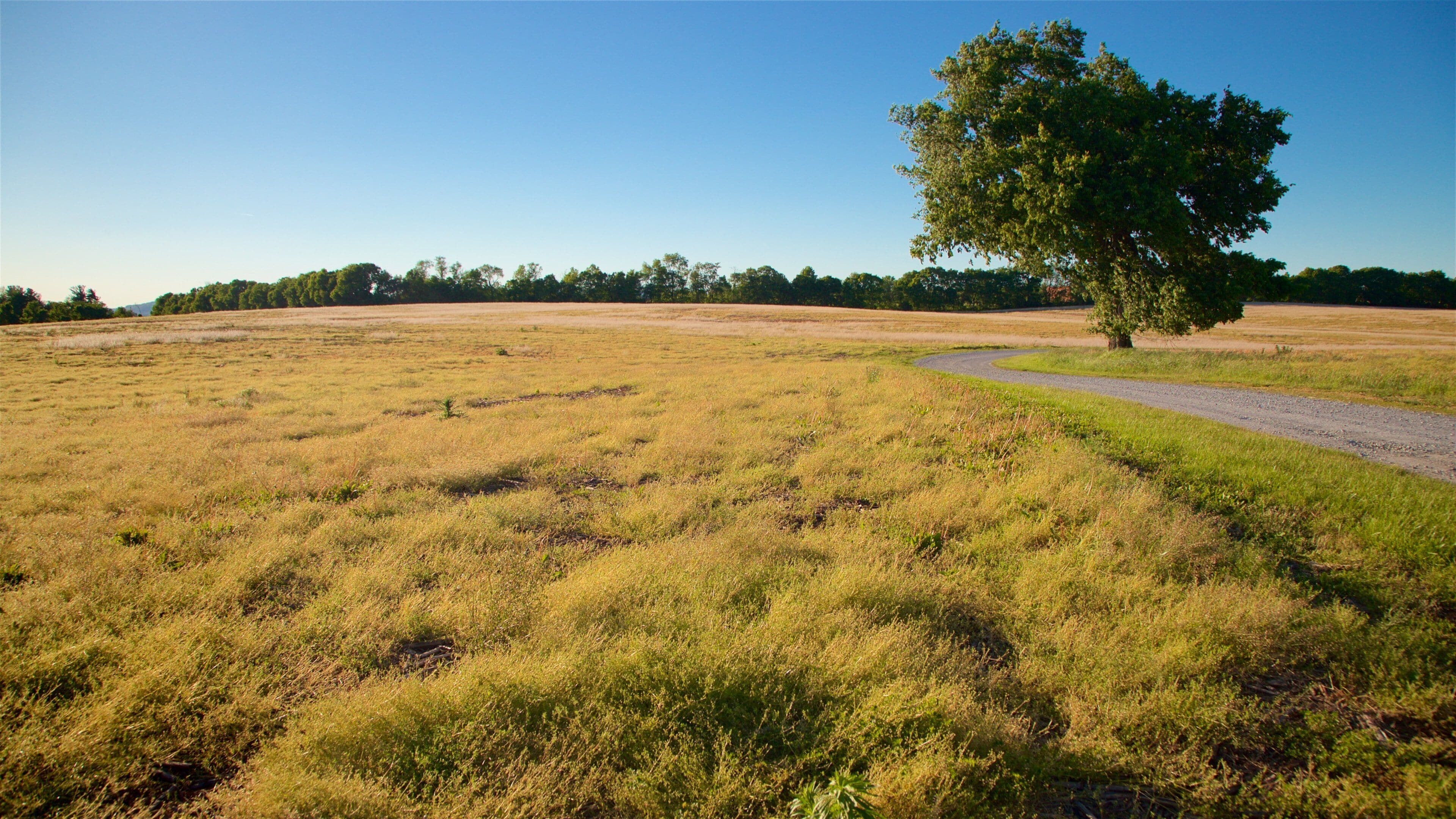 Campo de batalla Monocacy National Battlefied