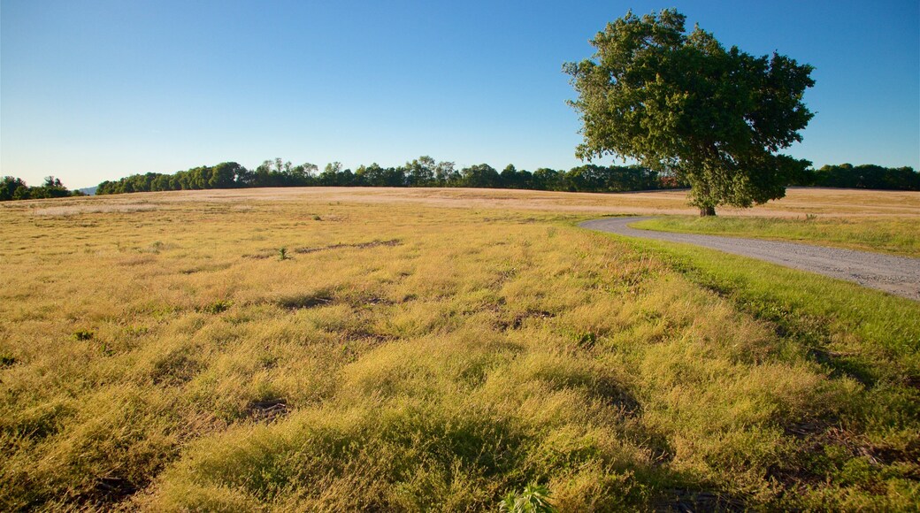 Campo de batalla Monocacy National Battlefied