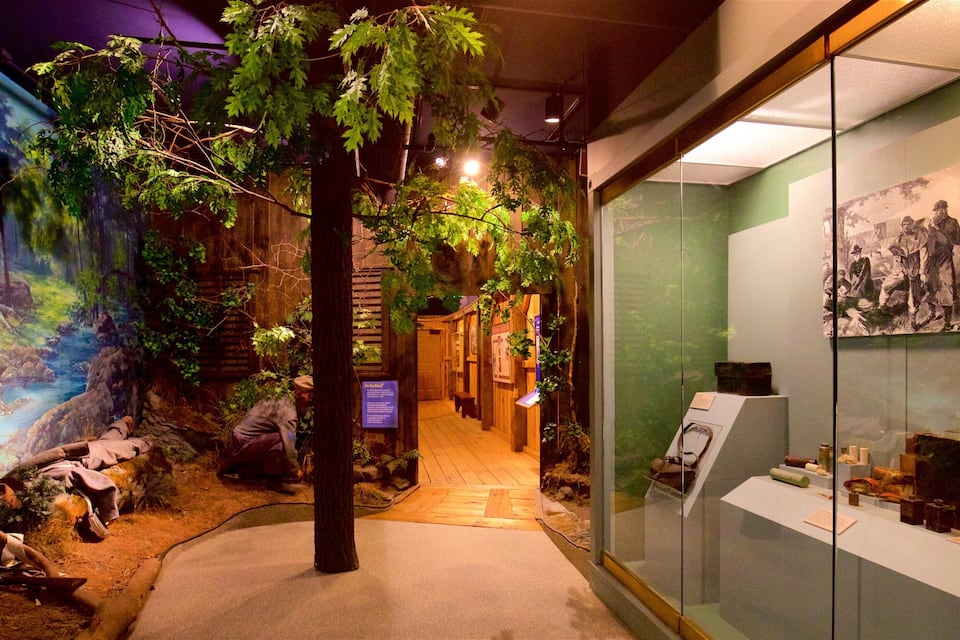 An indoor exhibit with a forest scene, a wooden bench, and a display case with artifacts.