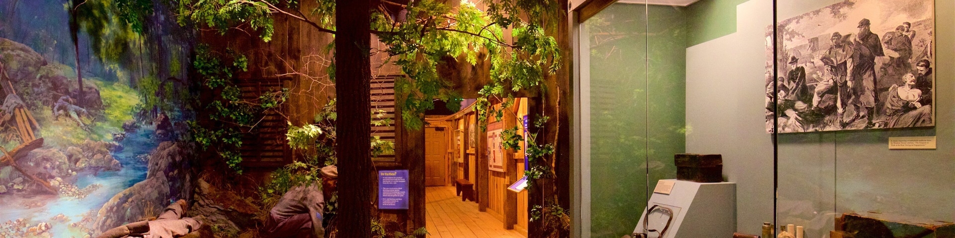 Museum of Civil War Medicine