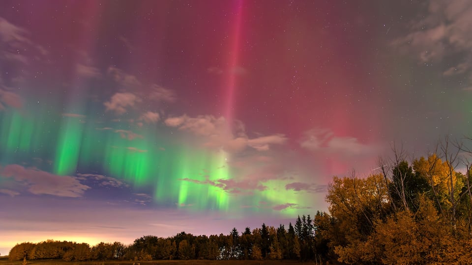 La aurora boreal sobre un paisaje forestal nocturno.