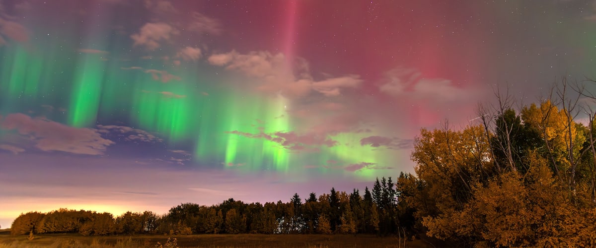 The aurora borealis over a forested landscape at night.